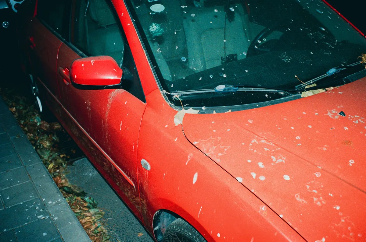 Car paint before correction, with swirl marks and dullness
